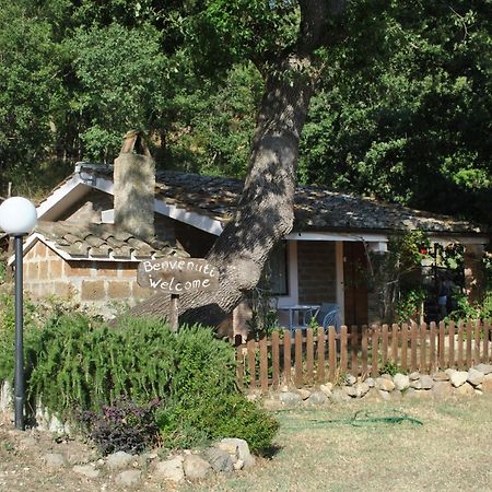 Azienda Agricola Biologica La Cardellina Tolfa Екстериор снимка