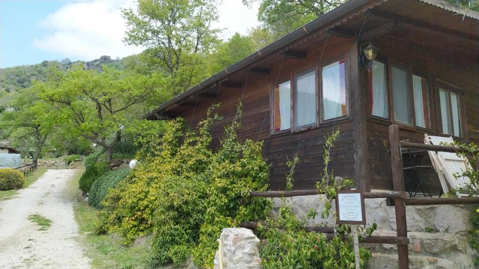 Azienda Agricola Biologica La Cardellina Tolfa Екстериор снимка