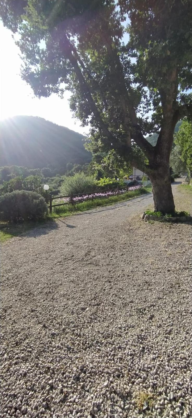 Azienda Agricola Biologica La Cardellina Tolfa Екстериор снимка