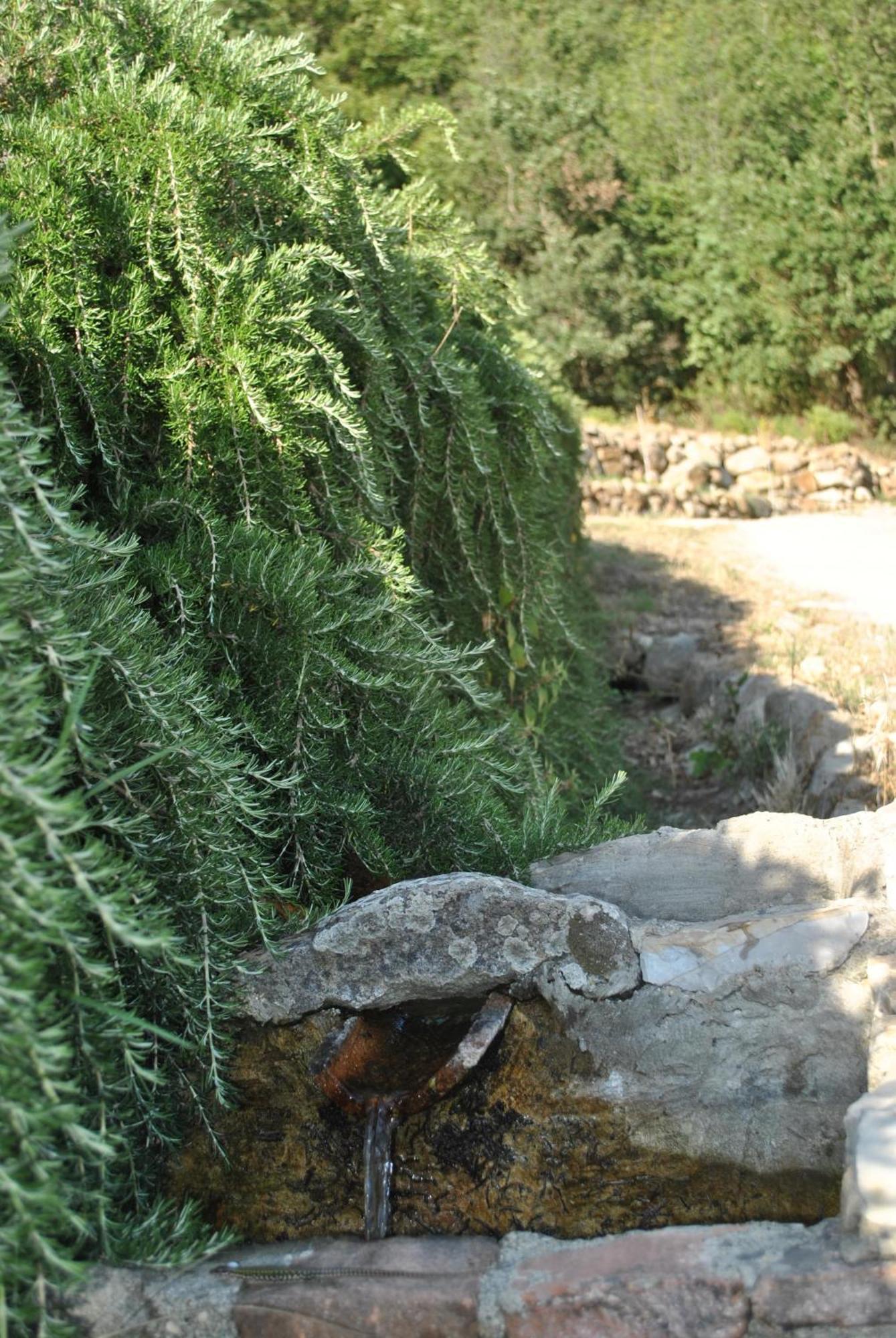 Azienda Agricola Biologica La Cardellina Tolfa Екстериор снимка