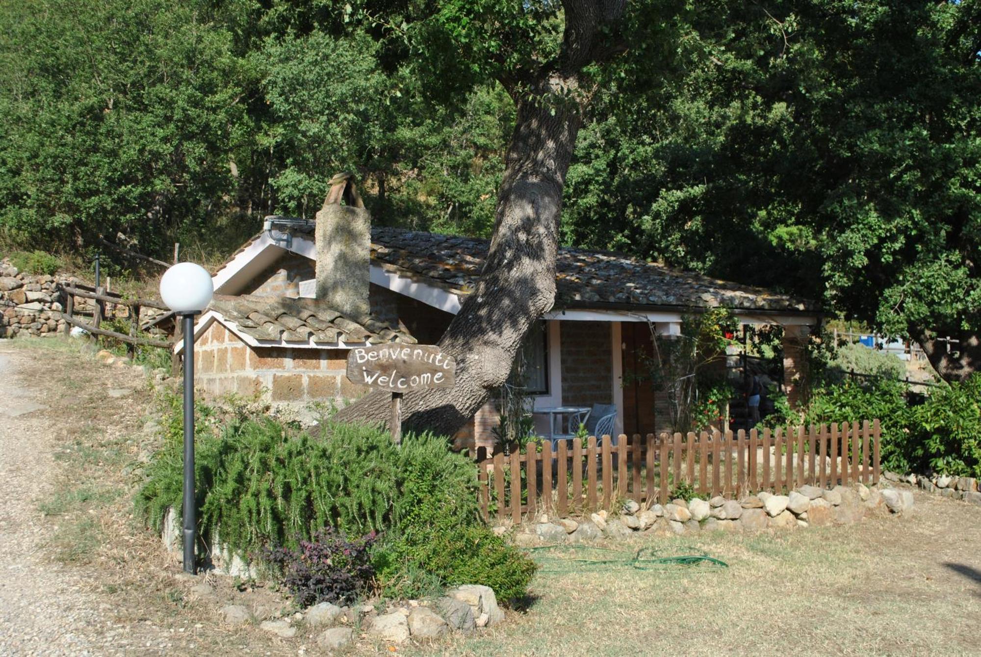 Azienda Agricola Biologica La Cardellina Tolfa Екстериор снимка