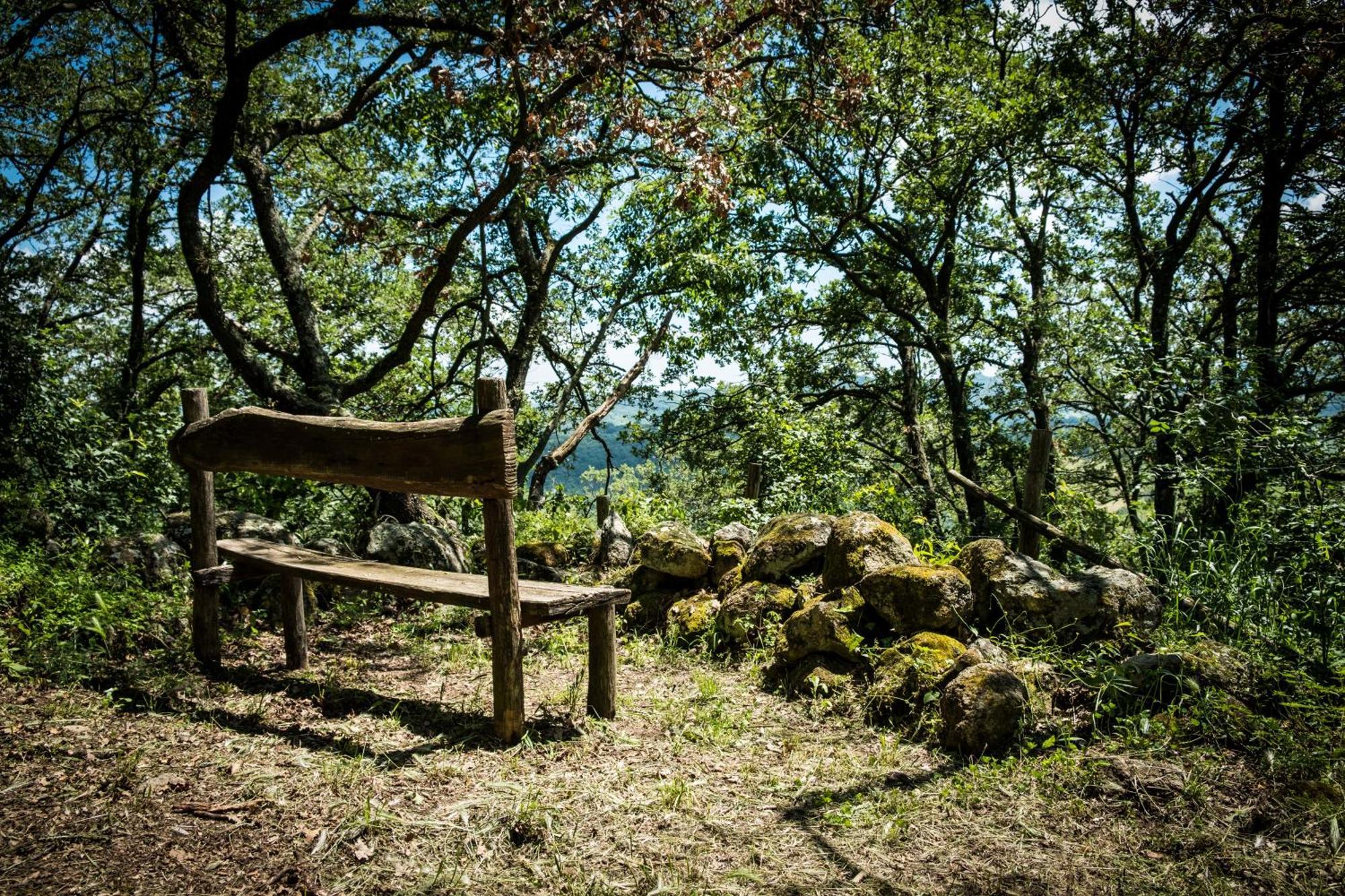 Azienda Agricola Biologica La Cardellina Tolfa Екстериор снимка