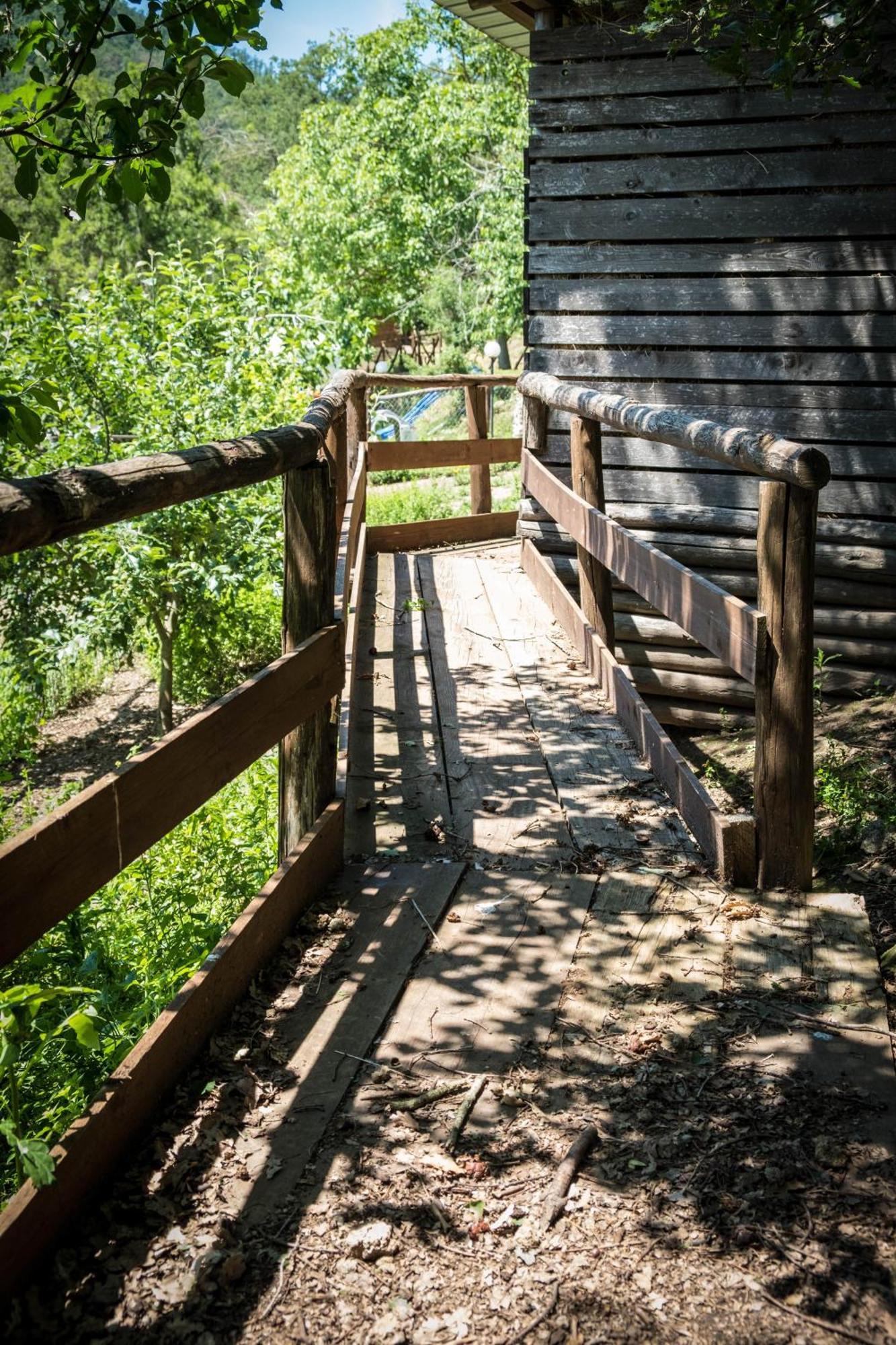 Azienda Agricola Biologica La Cardellina Tolfa Екстериор снимка