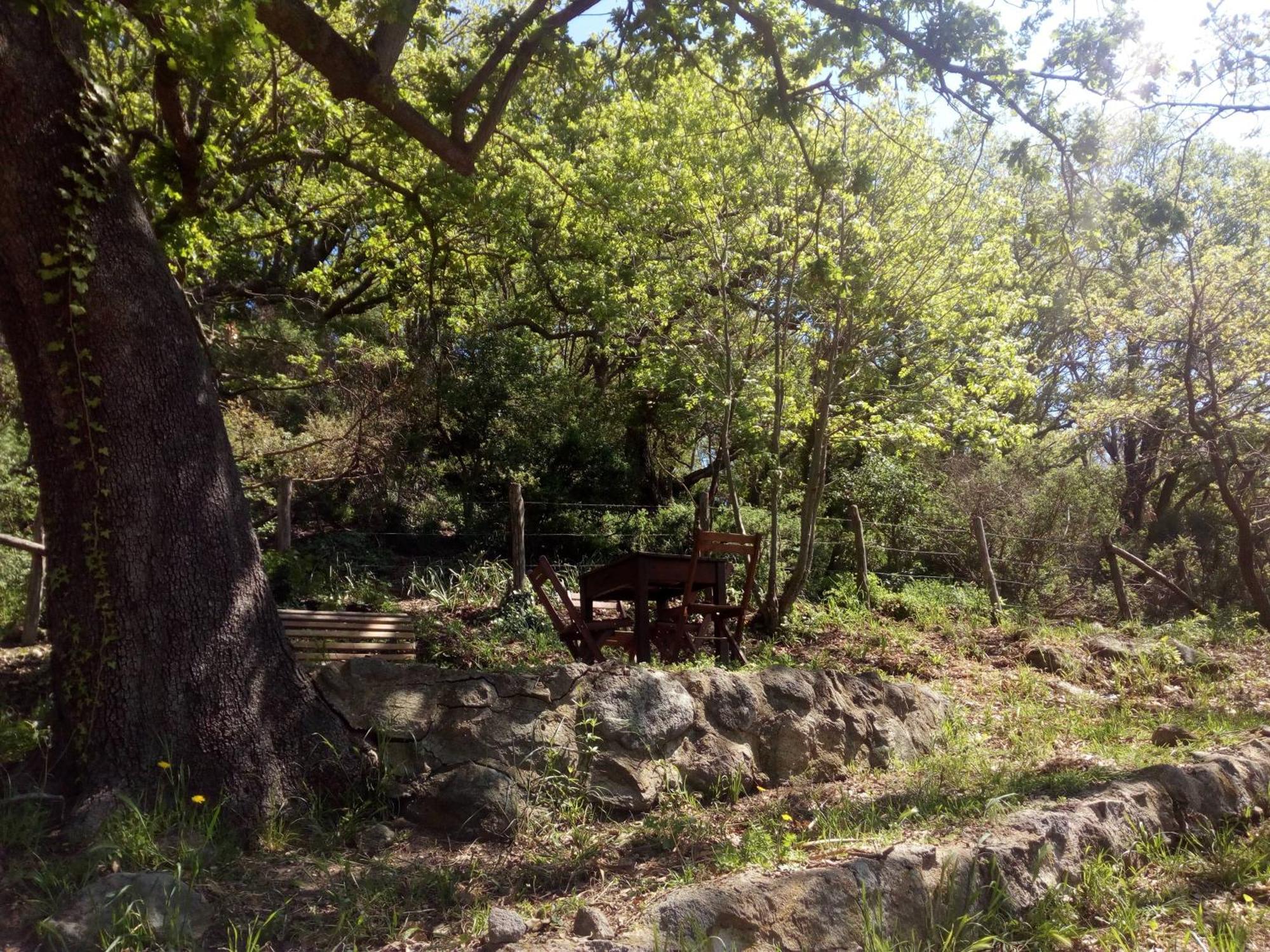 Azienda Agricola Biologica La Cardellina Tolfa Екстериор снимка